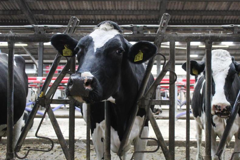 News in-brief from across NI farming