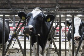 News in-brief from across NI farming