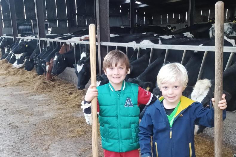 Country vibes... a few of our favourite things