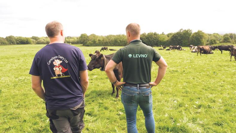 How real-time milk monitoring is helping Irish farmers sleep easier