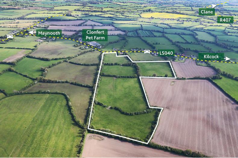 Local Kildare landowners ignite bidding frenzy                 