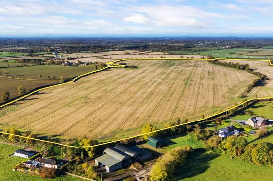 Fine 86ac Ratoath farm on the market                               