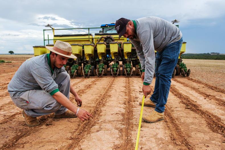 Watch: soybeans being planted in Brazil this month