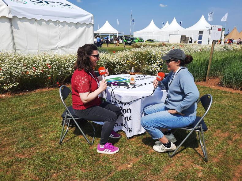 Tillage Podcast: straw, whiskey and magic insect traps