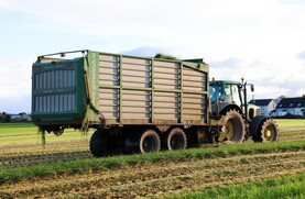 Weekend weather: rain or drizzle at times with cooler temperatures