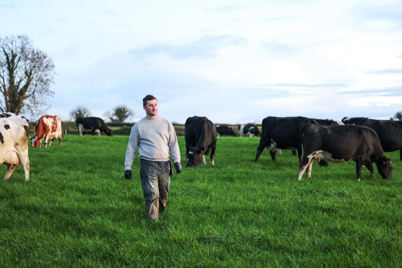 In pictures: harsh weather conditions did not stop farming activity in Ireland