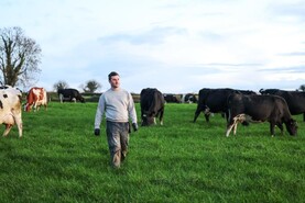In pictures: harsh weather conditions did not stop farming activity in Ireland
