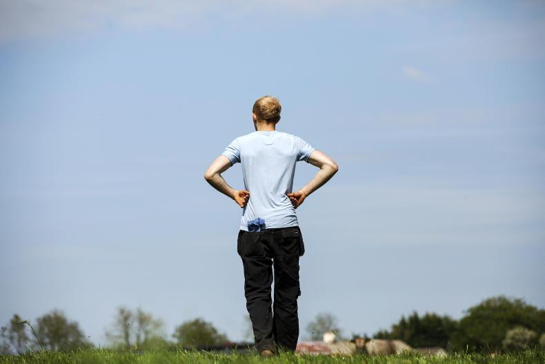 Share your views: future of your farm payments