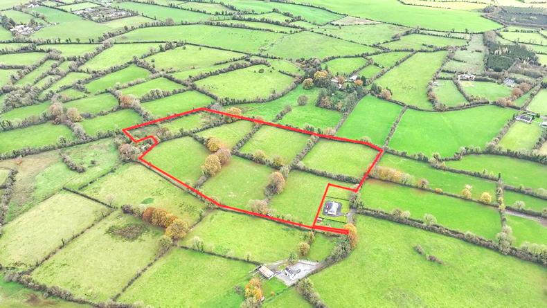 Whirlwind sale kicks off Westmeath winter auctions                    