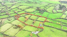 Whirlwind sale kicks off Westmeath winter auctions                    