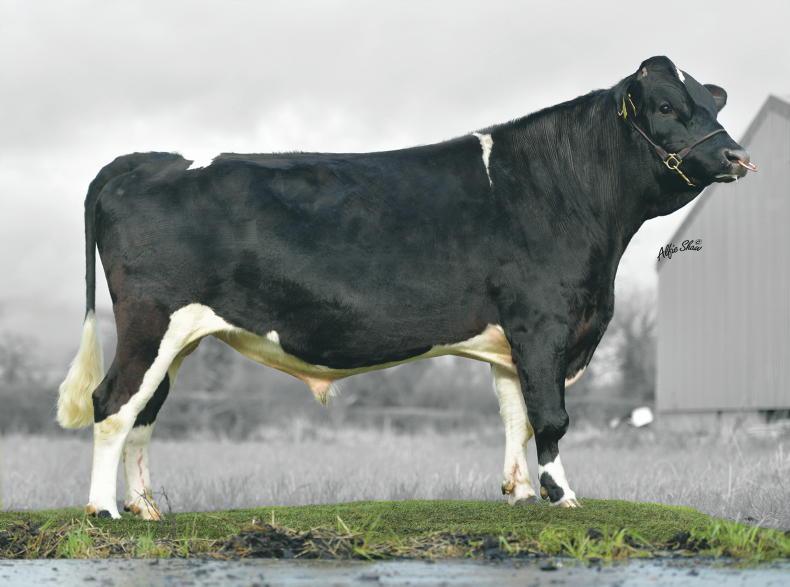 Where will the next generation of AI sires come from?