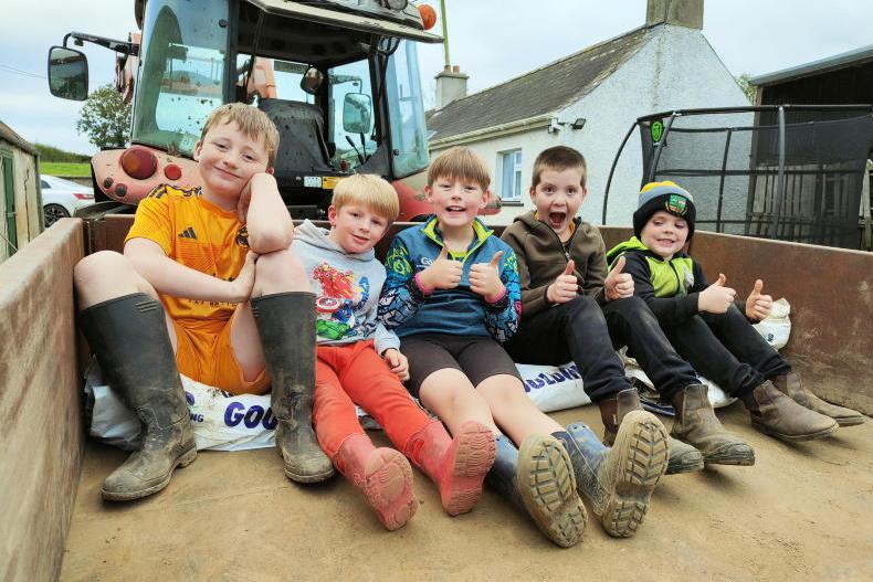 Readers' photos: share your farming photos with us
