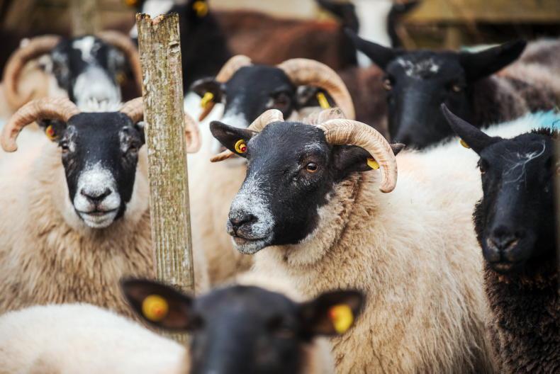 INHFA rattled as Nature Restoration Law funds yet to materialise