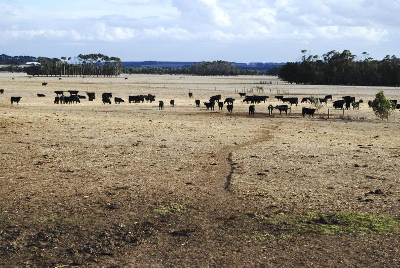 Australia’s top 10 market trends for 2025