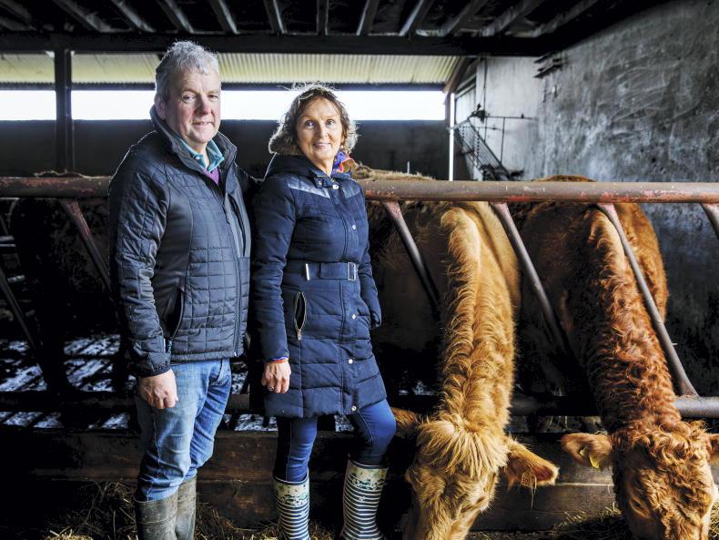 Do you want to feature in Irish Farmers Journal?