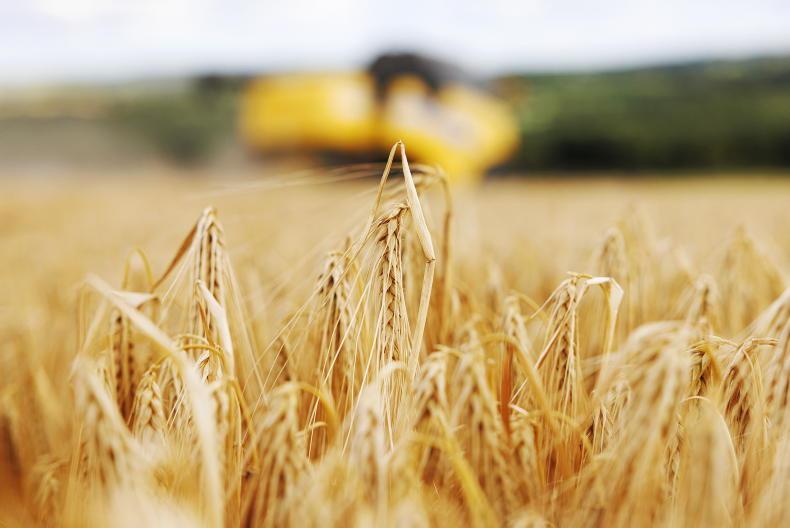Crop insurance for Irish farmers to be examined in next CAP
