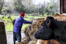 East coast issued with orange rainfall warning from Friday afternoon