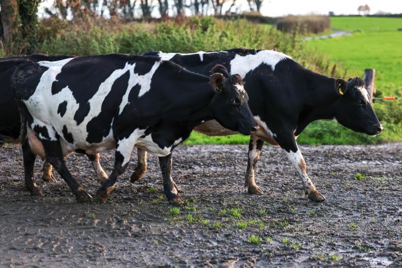 Agricultural output prices fall for fifth consecutive month 