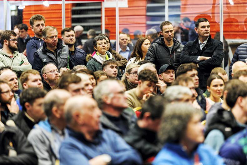 'A lot of pain' before mid-2026 milk price rebound - Kerry Dairy Ireland