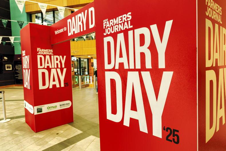 Dairy Day: sense that use of dairy alternatives has peaked – NDC CEO 