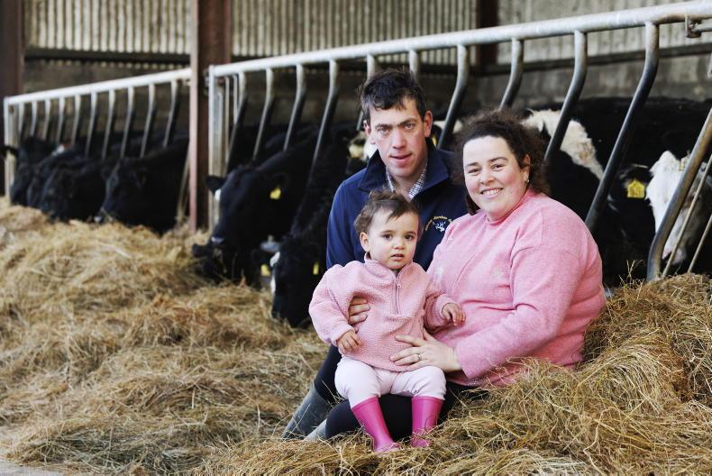 My Farming Week: Billy Fitzgerald, Beanfield, Youghal, Co Cork