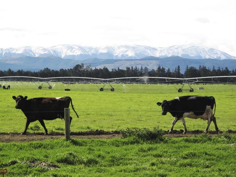 Regional measures key to NZ TB reduction                          