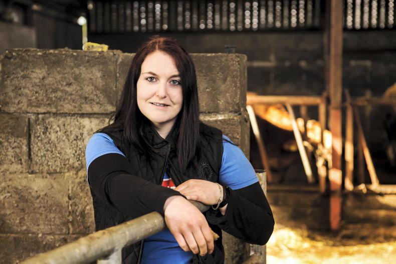 Farmer Writes: winter arrives as cold snap moves in 