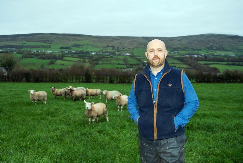 Farmer Writes: a 'surprising' morning weighing lambs 