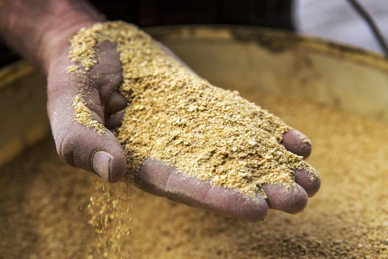 Is there Irish opportunity as the EU deforestation regulations face vote?