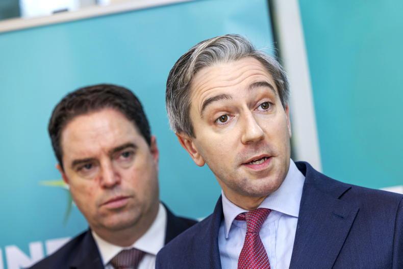 Harris for finance as Donohoe goes to World Bank