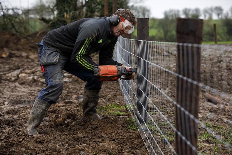 Pricing fencing and paddock sizes for sheep