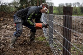 Pricing fencing and paddock sizes for sheep