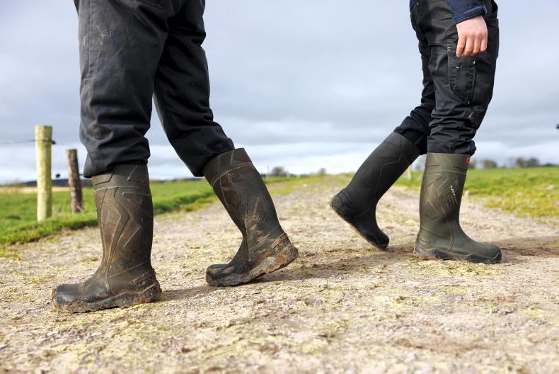 Department ordered to make Wexford farmer's inspection records public