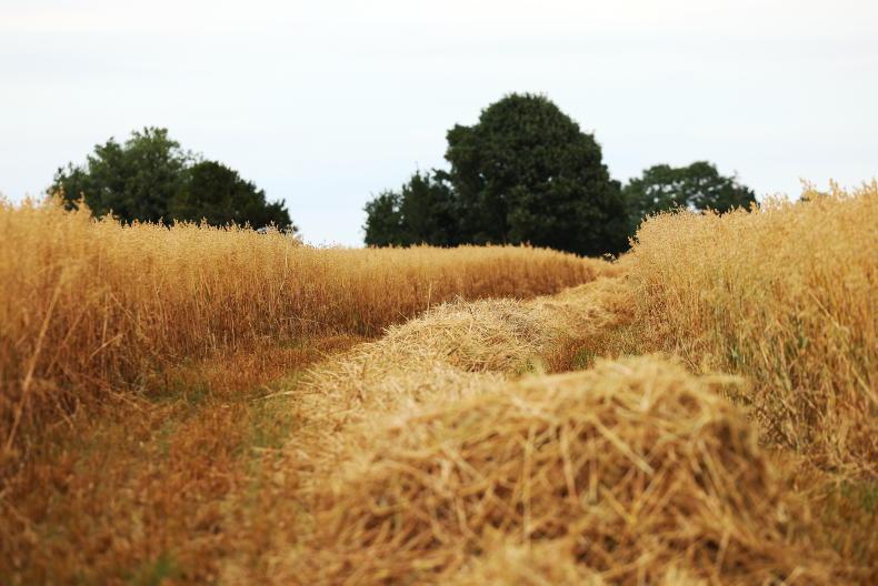 Two-crop rule leeway only for holdings under 30ha