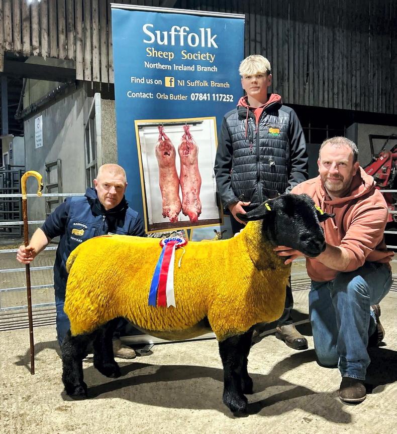 Cherrylea Suffolk ewe lamb sells for 9,500gns