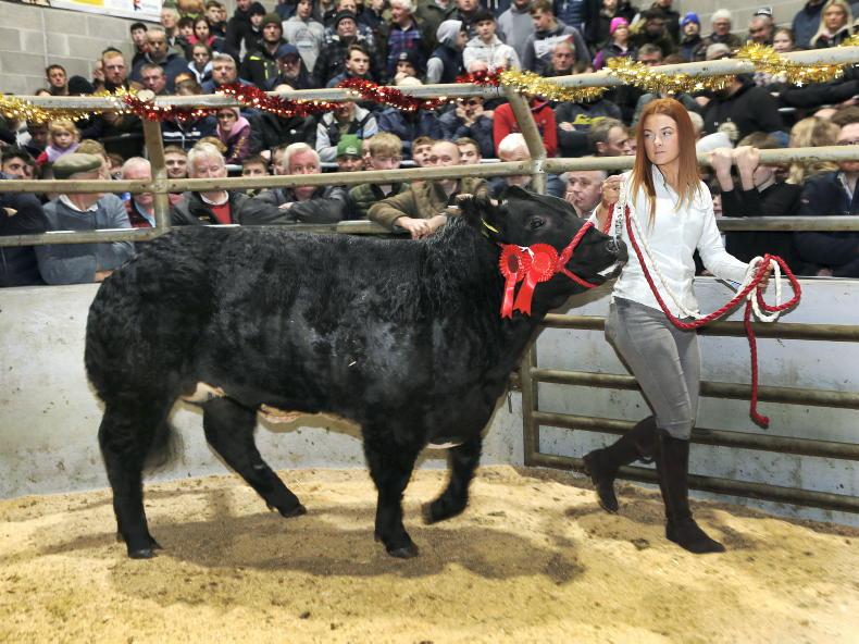 Markethill auction raises £40,000 for Kidney Care