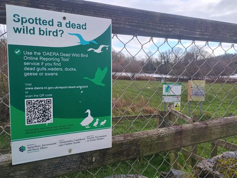 Poultry keepers hit out at the DAERA bird flu response