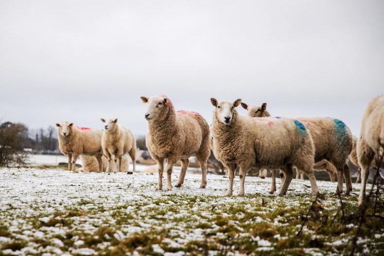 Snow and ice warning issued for northwest as temperatures to plummet