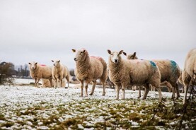 Snow and ice warning issued for northwest as temperatures to plummet
