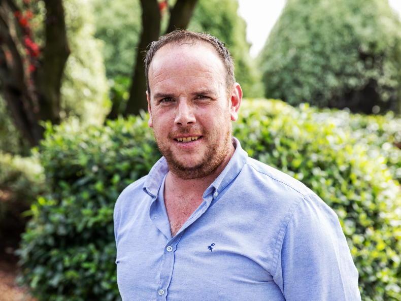 Pricey weanlings and luck penny