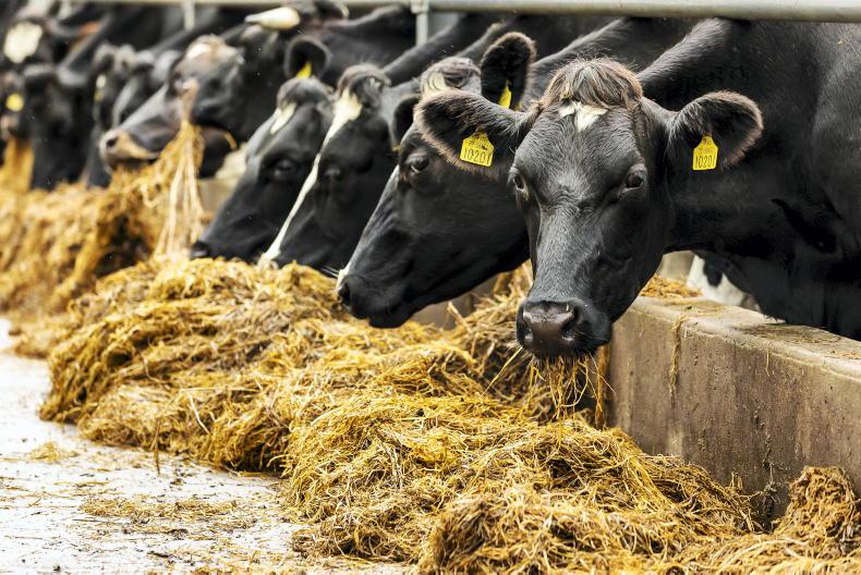 Clover and multispecies payments start but BISS and CRISS paused