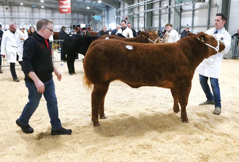 Northern Ireland diary of events