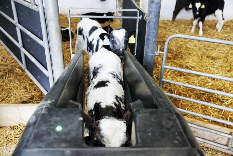 Spring 2026 milk destinations                  