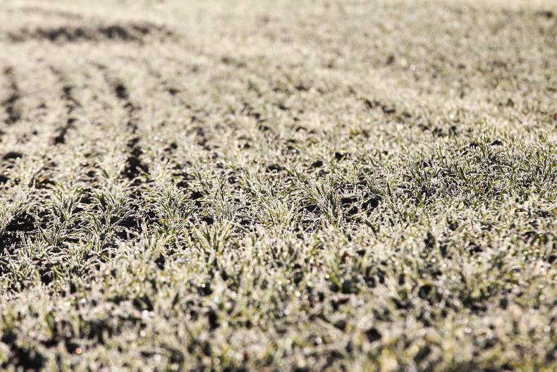 Tillage management: rainfall levels, temperatures and rules