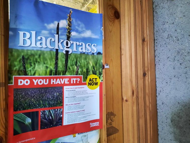 Editorial: blackgrass risk