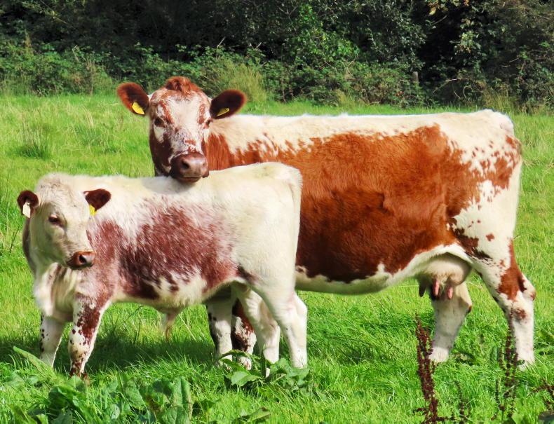 Deadline date watch for the remainder of 2025