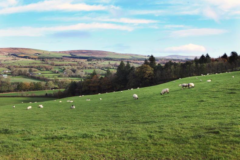 Over 1m ha of land is farmed in NI