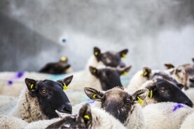 News round-up from Northern Ireland