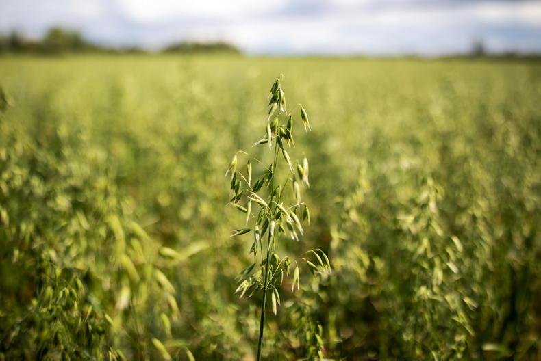 Organic Farming Scheme opens for applications