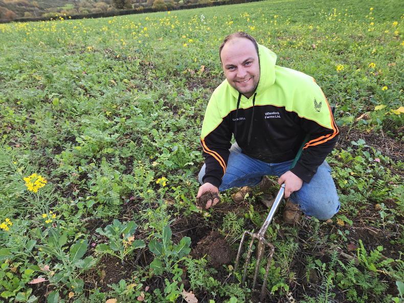 Tillage Podcast: chatting to a positive Wexford tillage farmer